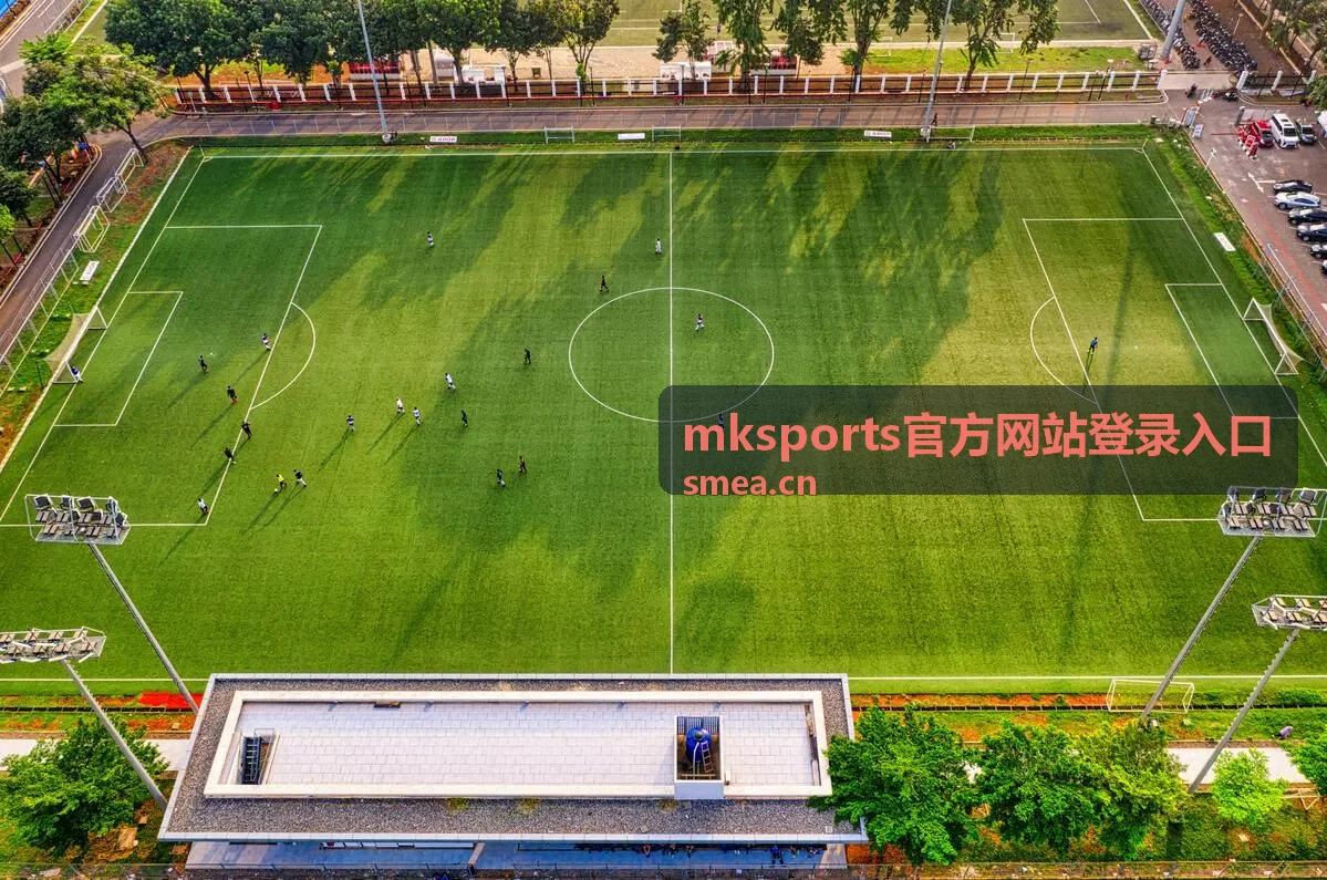mksports 智能运动手环推荐